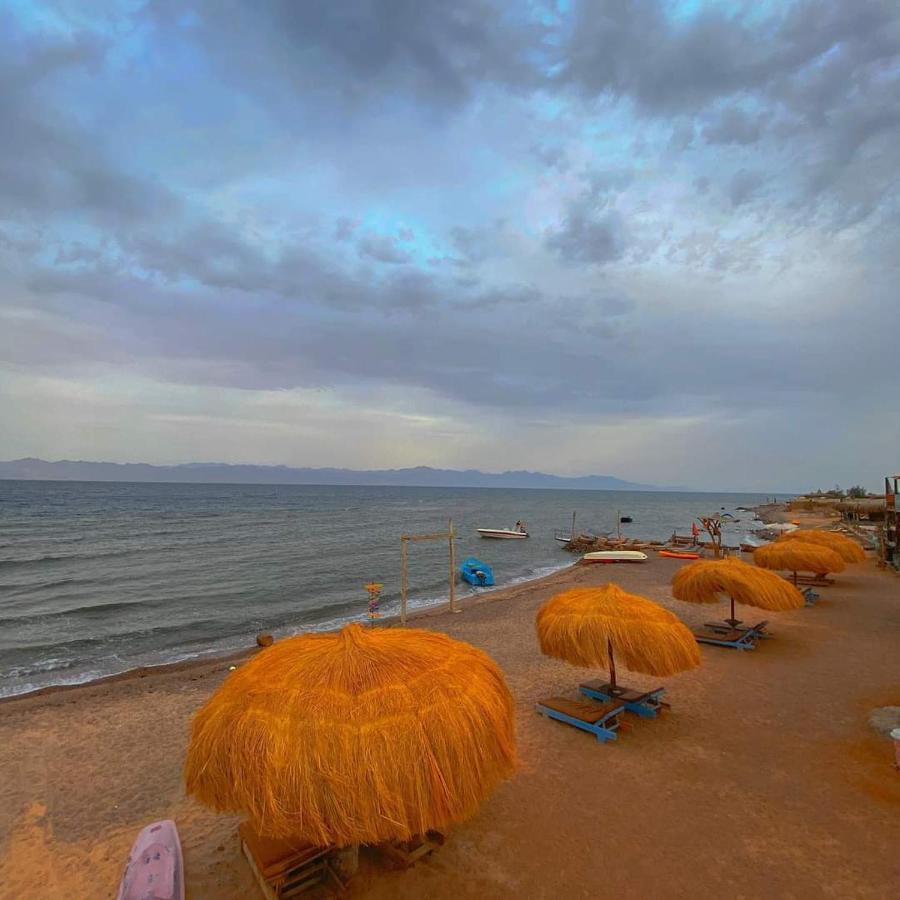 Sea Horse Hotell Nuweiba` Eksteriør bilde