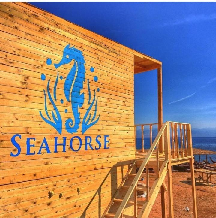 Sea Horse Hotell Nuweiba` Eksteriør bilde